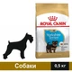 Сухий корм Royal Canin Yorkshire Puppy для цуценят 500 г (3182550743464) - зображення 1