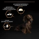 Сухой корм Purina Pro Plan Small Dog&Mini Adult для собак мелких пород с курицей 7 кг (7613035123458) - изображение 5