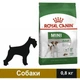 Сухой корм Royal Canin Mini Adult для собак 800 г (3182550793124) - изображение 1