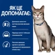 Сухой корм для кошек Hill's Prescription Diet k/d поддержание функции почек с курицей 3 кг - изображение 3