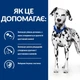 Сухой корм для собак Hill's Prescription Diet Уход за мочевыделительной системой 4 кг - изображение 3