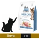 Сухий корм Brit Care GF Large cats Power and Vitality для котів великих порід з куркою та качкою 400 г (8595602540921) - зображення 1
