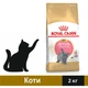 Сухой корм Royal Canin Kitten British Shorthair для котят 2 кг (3182550816533) - изображение 1