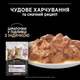 Влажный корм Purina Pro Plan Kitten Healthy Start для котят с индейкой 85 г (7613036093453) - изображение 3