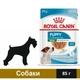 Вологий корм Royal Canin Mini Puppy для цуценят 85 г (9003579008218) - зображення 1
