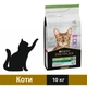 Сухий корм Purina Pro Plan Sterilised Adult 1+ Renal Plus для стерилізованих котів з індичкою 10 кг (7613033566547) - зображення 1