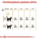 Сухий корм Royal Canin Hair&Skin Care для котів для здоров'я шкіри та шерсті 400 г (3182550721721) - зображення 5