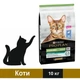 Сухой корм Purina Pro Plan Sterilised Renal Plus для стерилизованных кошек с кроликом 10 кг (7613033566486) - изображение 1