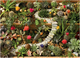 Puzzle Cobble Hill Sukulenty w ogrodzie 49 x 68 cm 1000 elementów (0625012400879) - obraz 2