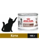 Вологий корм Royal Canin Recovery для котів для підтримання та відновлення харчування в період одужання 195 г (9003579307717) - зображення 1