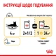 Вологий корм Royal Canin Sensory Taste Gravy для котів вибагливих до їжі 85 г (9003579018866) - зображення 5