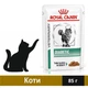 Влажный корм Royal Canin Diabetic Cat для кошек при сахарном диабете 85 г (9003579027813) - изображение 1