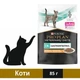 Вологий корм Purina Pro Plan Veterinary Diets EN Gastrointestinal для котів при розладах травлення з куркою 85 г (8445290063731) - зображення 1