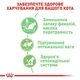 Вологий корм Royal Canin Digest Sensitive для котів з чутливим травленням 85 г (9003579309537) - зображення 2