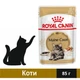 Вологий корм Royal Canin Mainecoon Adult для котів 85 г (9003579001219) - зображення 1
