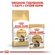 Вологий корм Royal Canin Mainecoon Adult для котів 85 г (9003579001219) - зображення 3