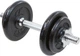 Гантель розбірна чавунна Eb Fit 10 кг - зображення 1