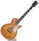 Электрогитара ESP Edwards E LP98LTS VHB - изображение 1