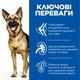 Hill’s SCIENCE PLAN Mature Adult 6+ Large Breed Сухий корм для зрілих собак великих порід від 6 років, з куркою, 14 кг - изображение 2