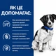 Сухий корм для собак малих порід Hill's PRESCRIPTION DIET i/d Stress Mini для догляду за травленням при стресових факторах, з куркою, 1 кг - изображение 4