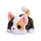 Интерактивная игрушка Маленький Котенок - изображение 12