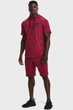 Чоловічі бордові шорти UA RIVAL TERRY SHORT Under Armour SM 1361631-665 - зображення 2