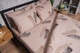 Пододеяльник Moon&Star Бязь Gold Люкс Feathers King Size 220x240 см (MS-870000309) - изображение 5