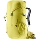 Детский туристический рюкзак Deuter Climber 22 Sprout-Linden (3611024 1208) - изображение 1