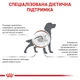 Cухий корм для собак Royal Canin Gastrointestinal 15 кг - изображение 2