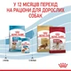 Cухий корм для цуценят Royal Canin Medium Puppy 1 кг - изображение 6