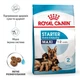 Cухий корм для цуценят Royal Canin Maxi Starter 4 кг - изображение 2