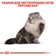 Сухий корм для котів Royal Canin Persian Adult 2 кг - изображение 4