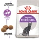 Сухий корм для котів Royal Canin Regular Sterilised 37 2 кг - изображение 2