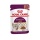 Вологий корм для котів Royal Canin Sensory Taste Sauce 85 г - изображение 1