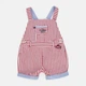Детский полукомбинезон для мальчика Chicco 45385-037 68 см Комбинированный (8059609016983) - изображение 1