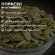 Семечки тыквы очищенные Премиальные (ядро) сушеные 500 г Clear (P-R-premium-500) - изображение 10