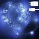 Гирлянда "Роса" в силиконовой трубке, 10м, 100 LED, от USB и сети 220V, 8 режимов, IP65, Холодный белый - изображение 1