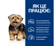 Сухой корм Hill's Prescription Diet Canine L/D – для поддержания здоровья взрослых собак с заболеваниями печени, 1,5 кг - изображение 3