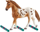 Ігровий набір Schleich Horse Club Сімейство породи Аппалуза (4055744021831) - зображення 5