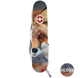 Складаний ніж Victorinox EXPLORER ANIMAL Лисиця 1.6703.7.F1060pw - зображення 5