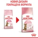 Royal Canin Kitten Sterilised Сухий Корм ​​Для Стерилізованих Кошенят 2 кг (3182550805186) (2562020) - зображення 2