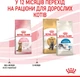 Royal Canin Kitten Sterilised Сухий Корм ​​Для Стерилізованих Кошенят 2 кг (3182550805186) (2562020) - зображення 9