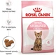 Royal Canin Kitten Sterilised Сухий Корм ​​Для Стерилізованих Кошенят 2 кг (3182550805186) (2562020) - зображення 3
