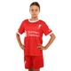 Форма футбольная детская с символикой футбольного клуба LIVERPOOL домашняя 2024 SP-Sport CO-7190 (PL, р XL-30, рост 155-165см, красный) - изображение 4