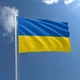 Флаг Украины 0,9*1,4 м 4647746 - изображение 1
