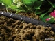 Шланг сочащийся Cellfast Drip для капельного полива 15 м 1/2" (19-002) - изображение 2