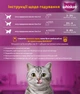 Упаковка влажного корма Whiskas с курицей в желе 28 шт. * 85г - изображение 5