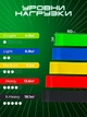 Резинки для фітнесу Fitness Loop Bands комплект 5 шт - изображение 2