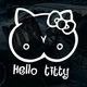 Наклейка на Автомобиль с Приколами Hello TITI 17х18 см + Монтажная плёнка - изображение 2