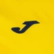 Спортивный костюм Joma Eco Championship Tracksuit Yellow/Blue 102751.903 S - изображение 4
